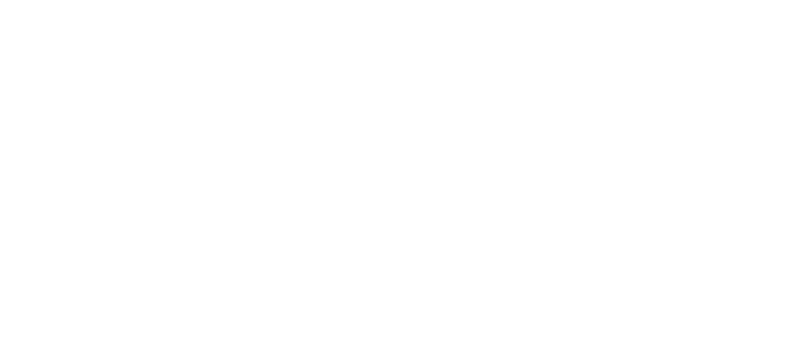 Konser Feeds