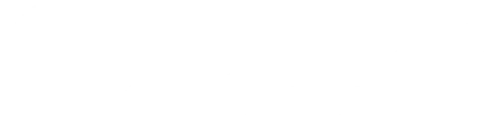 Blue Bird